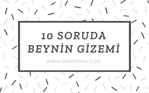 10 Soruda Beynin Gizemi
