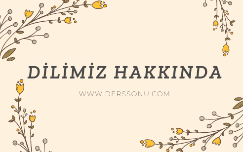 Dilimiz Hakkında