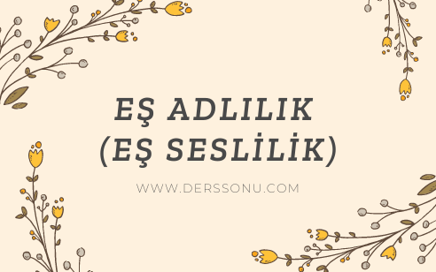 Eş Adlılık (Eş Seslilik)