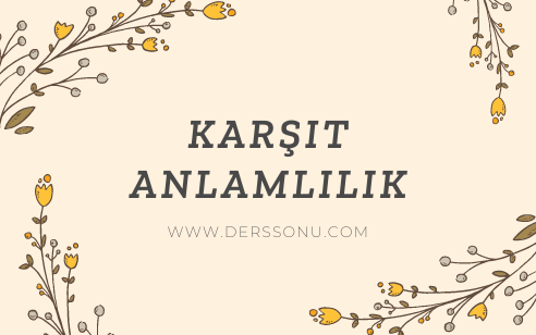 Karşıt Anlamlılık