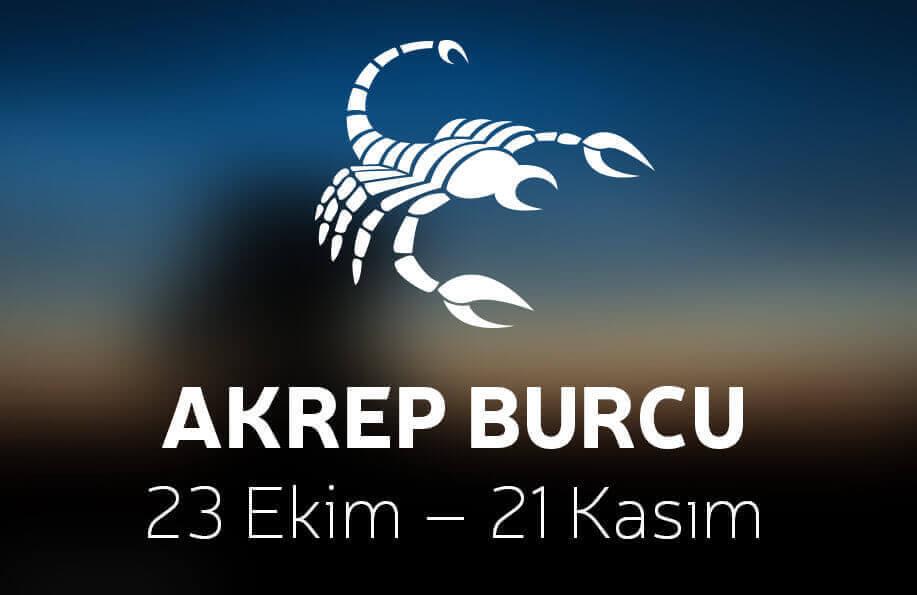 Akrep Burcu Anne Çocuk Burç Uyumu
