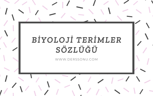 Biyoloji Terimler Sözlüğü