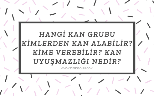 Hangi Kan Grubu Kimlerden Kan Alabilir? Kime verebilir? Kan Uyuşmazlığı Nedir?