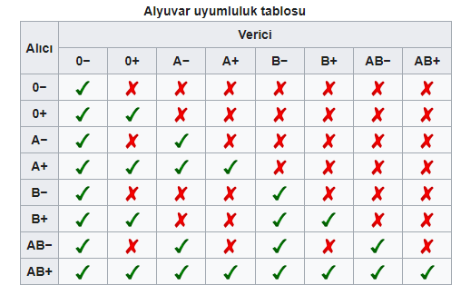 Hangi Kan Grubu Kimlerden Kan Alabilir? Kime verebilir? Kan Uyuşmazlığı Nedir? 1 – Kan Gruplari