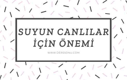 Suyun Canlılar İçin Önemi