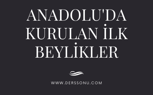 Anadolu’da Kurulan İlk Beylikler