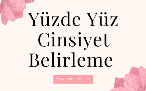 Yüzde Yüz Cinsiyet Belirleme 2022