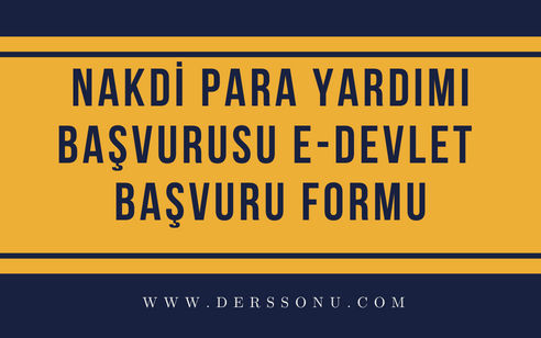 Nakdi Para Yardımı Başvurusu E-Devlet Başvuru Formu